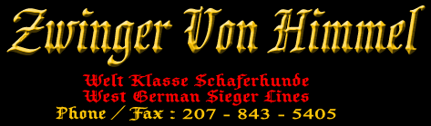 Zwinger von Himmel