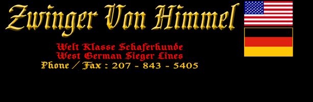 World Class German Shepherd Breeder  - Importer
West German Sieger Lines