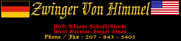 World Class German Shepherd Breeder - Importer West German Sieger Lines