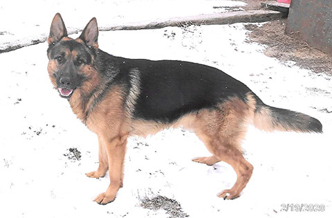 Omar