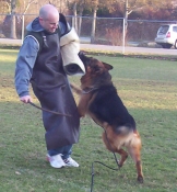 Professional Training Services