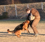 Professional Training Services